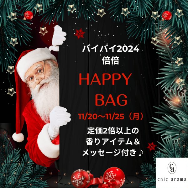 画像1: 【11/25迄】倍倍HAPPY BAG (1)